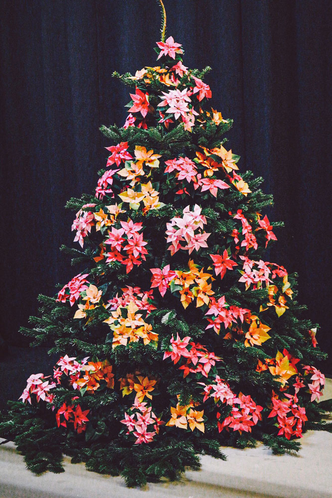 blumen10